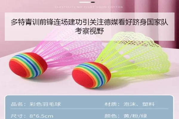 多特青训前锋连场建功引关注德媒看好跻身国家队考察视野 - pg